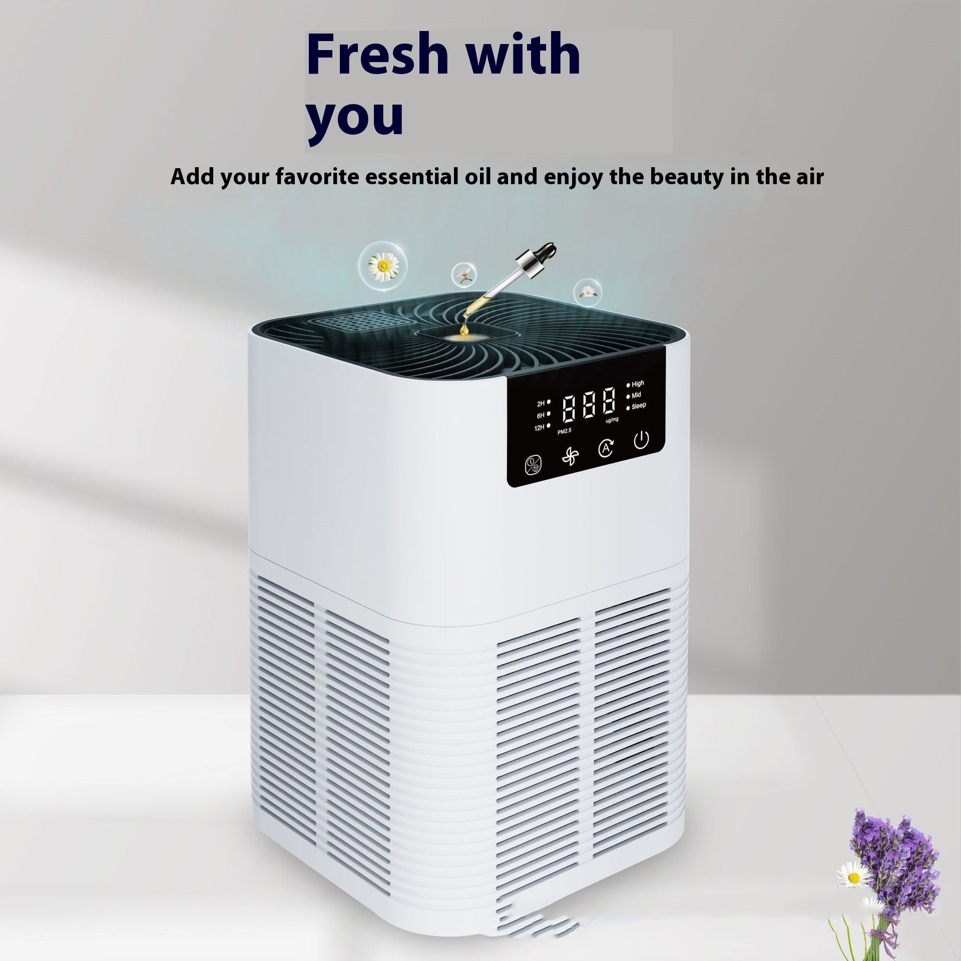 Anion Home Air Purifier Indoor