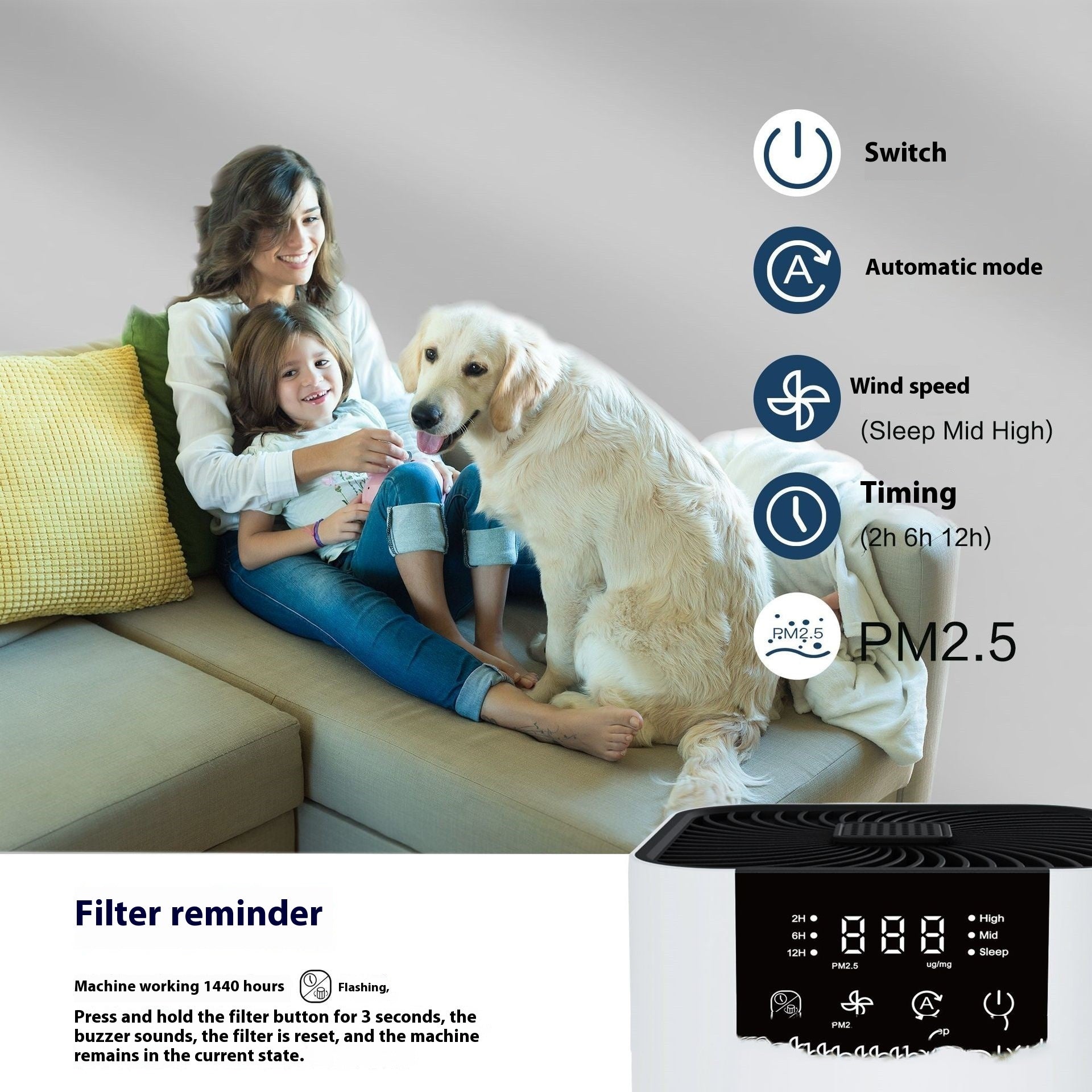 Anion Home Air Purifier Indoor