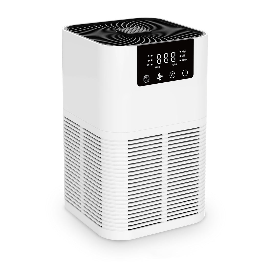 Anion Home Air Purifier Indoor